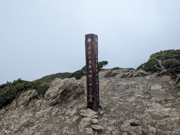 115.05.17(日)合歡主、東峰賞杜鵑【百岳行】 (中巴限23人)