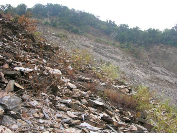 115.02.01(日)屯子山 (小車限14人)