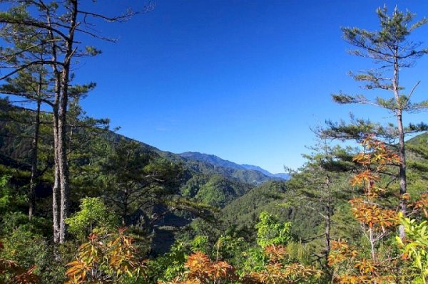 115.02.27(五)羅馬縱走+抹茶山 (小車限14人)