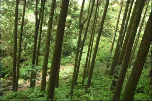 114.10.19(日)馬武督走外鳥嘴山(不含門票)