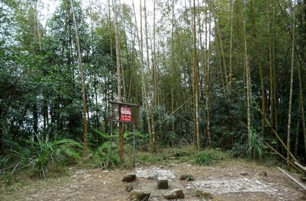 115.06.07(日)鳳凰山(小百岳)